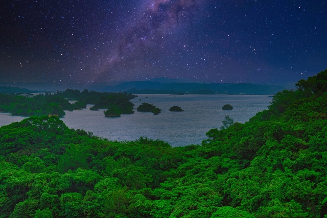 緑豊かな森の向こうに見える沖縄の海
